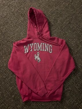 Port and Company Raspberry Pink Wyoming Hooded Sweatshirt